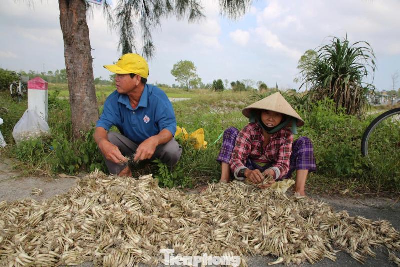Kieu Tet anh 8