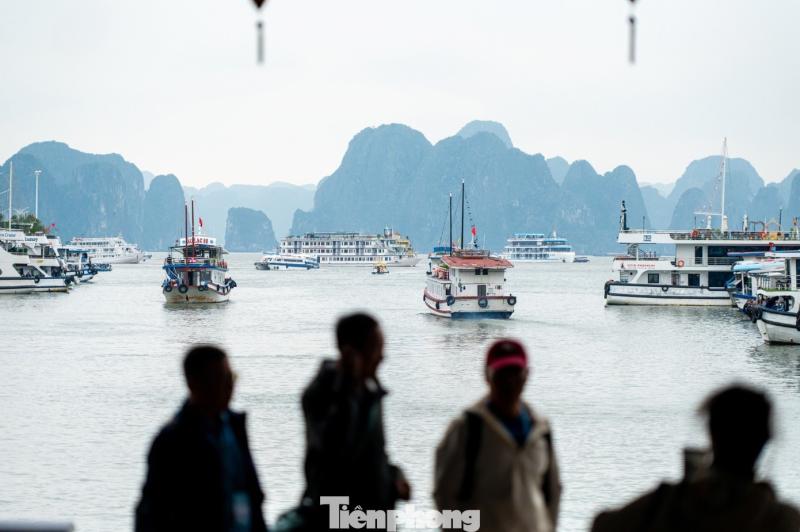 Vinh Ha Long anh 20