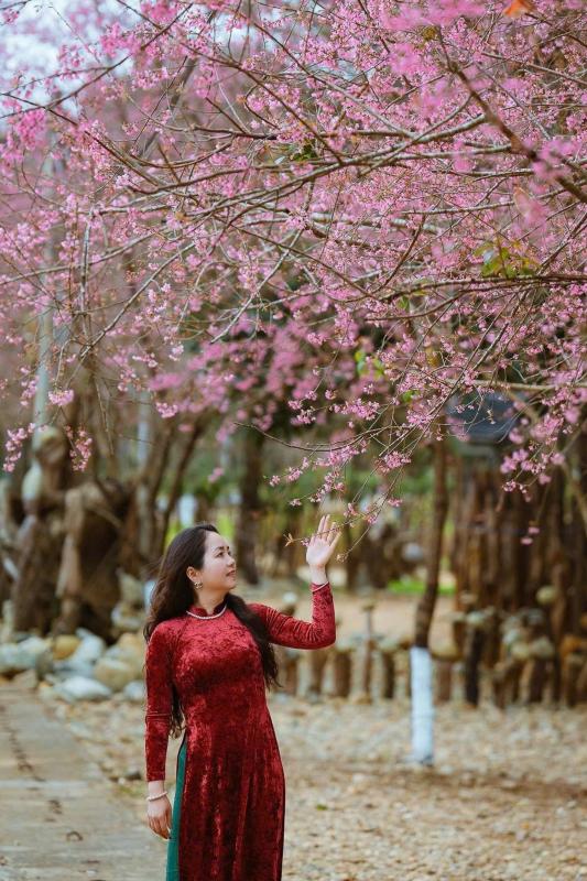 Mang Den anh 16