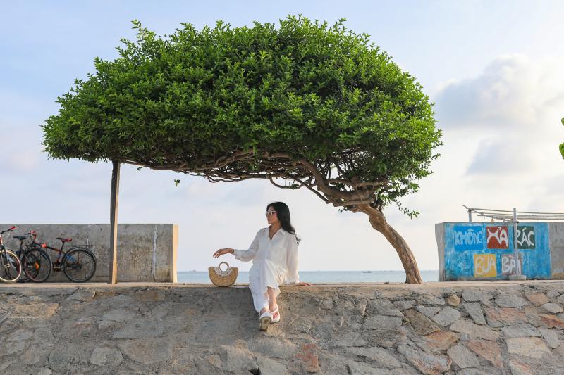 Phu Quy anh 3