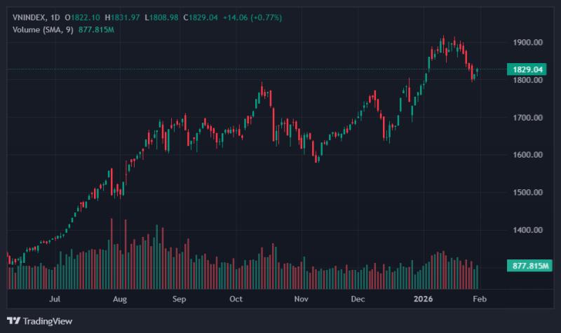 novaland anh 1