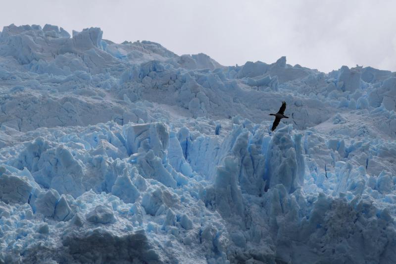 Chile anh 13