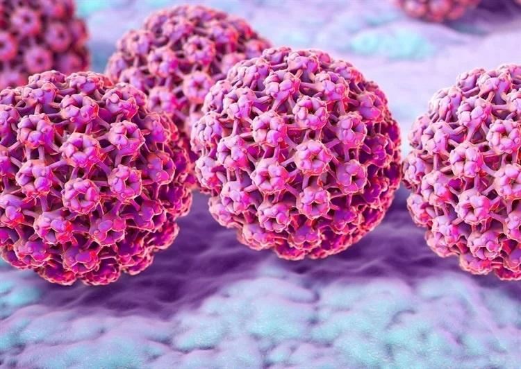 ung thu do virus HPV anh 1