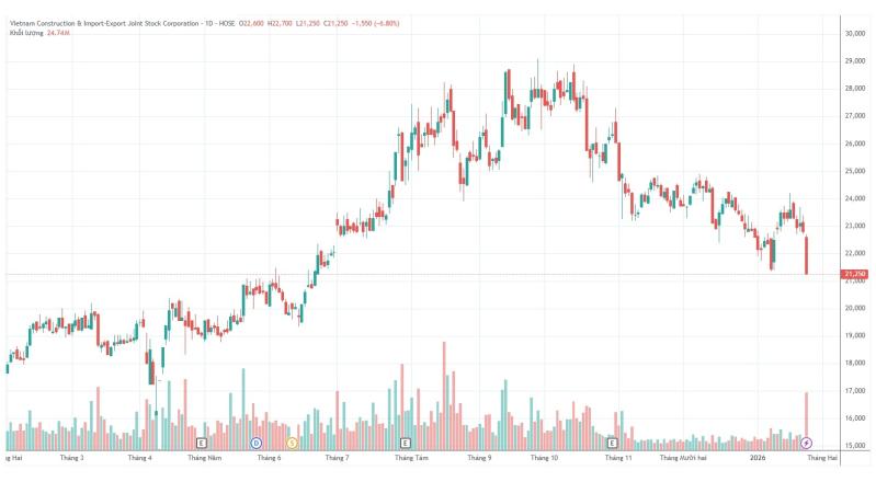 Vinaconex anh 1