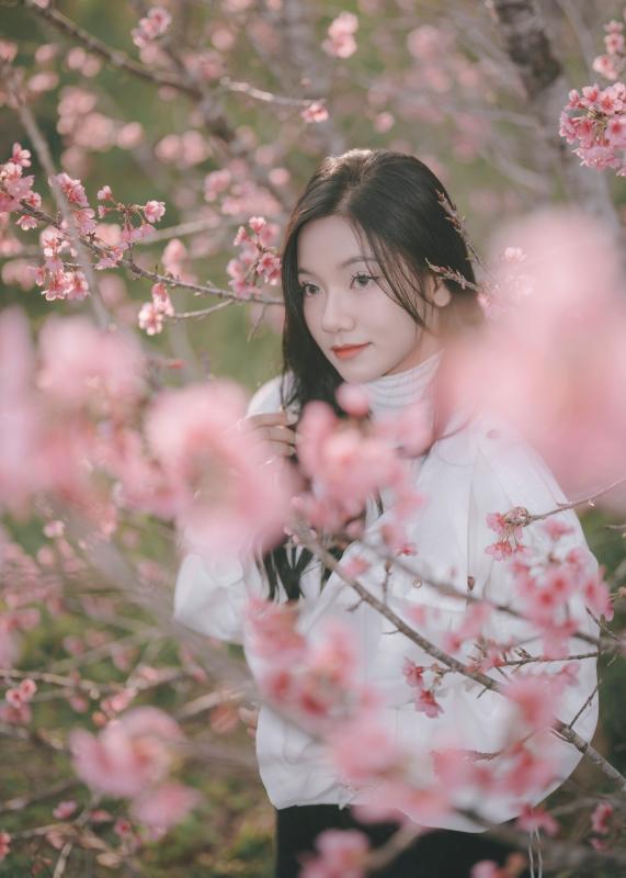hoa anh dao anh 2