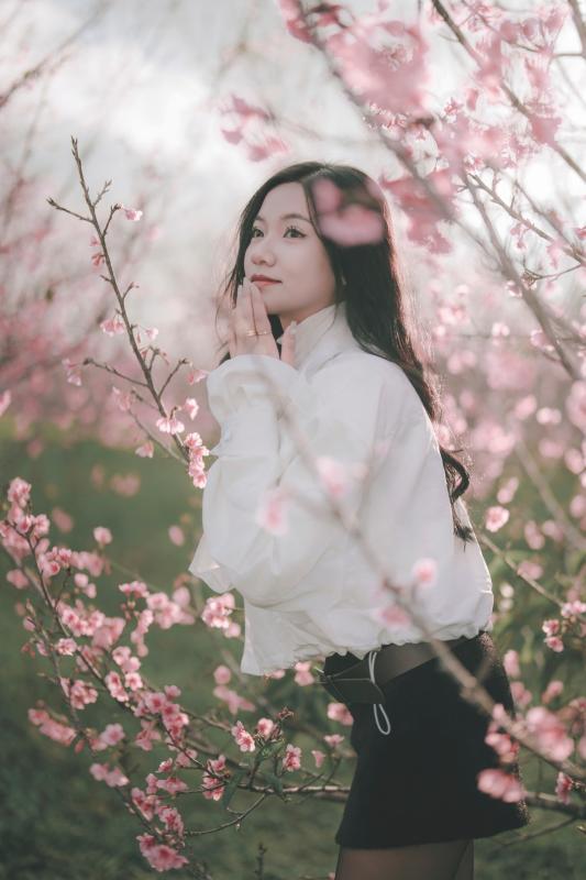 hoa anh dao anh 1