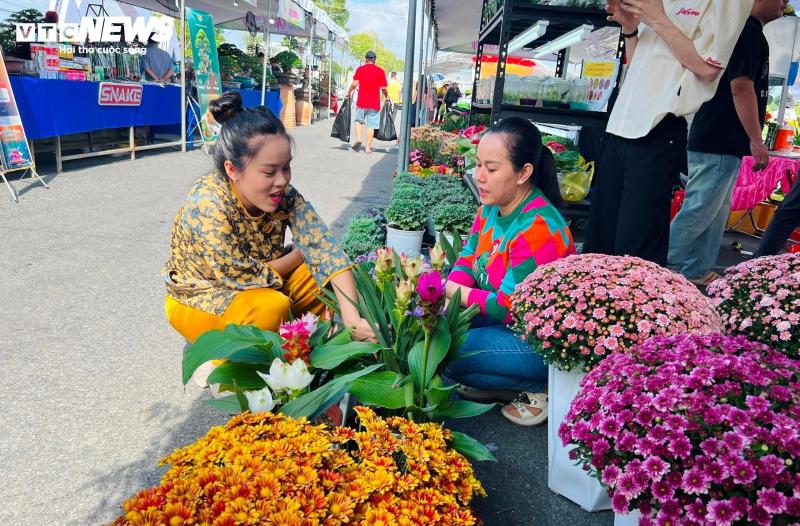 hoa nghe sen anh 3