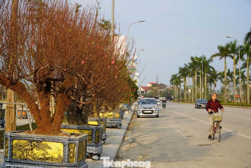 dao anh 1
