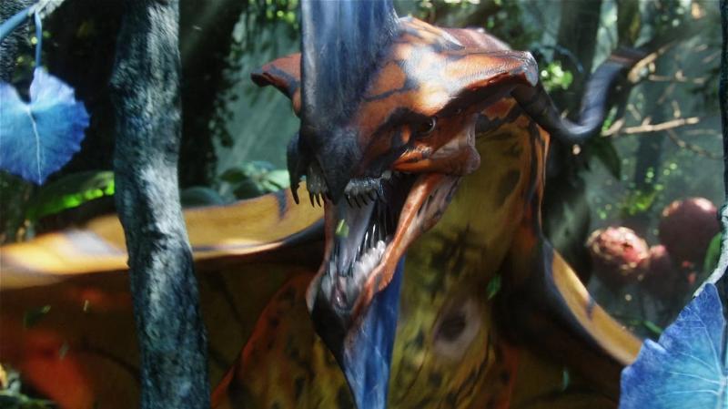 Avatar anh 1