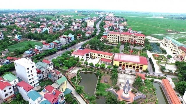 dau gia anh 1