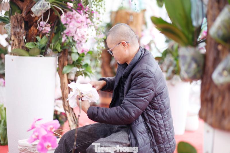 hoa tet anh 5