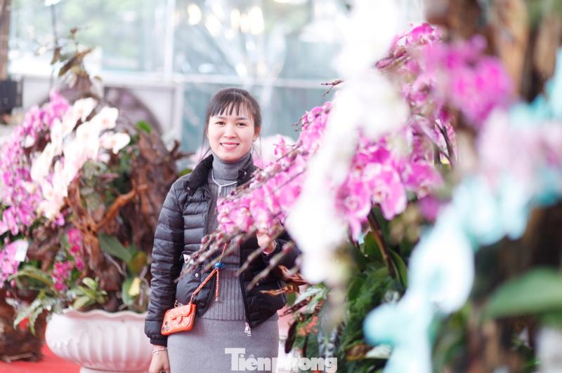 hoa tet anh 10
