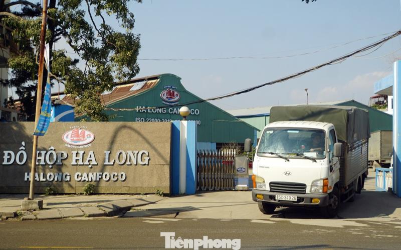 do hop ha long anh 1