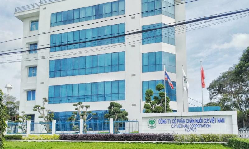 C.P. Viet Nam anh 1