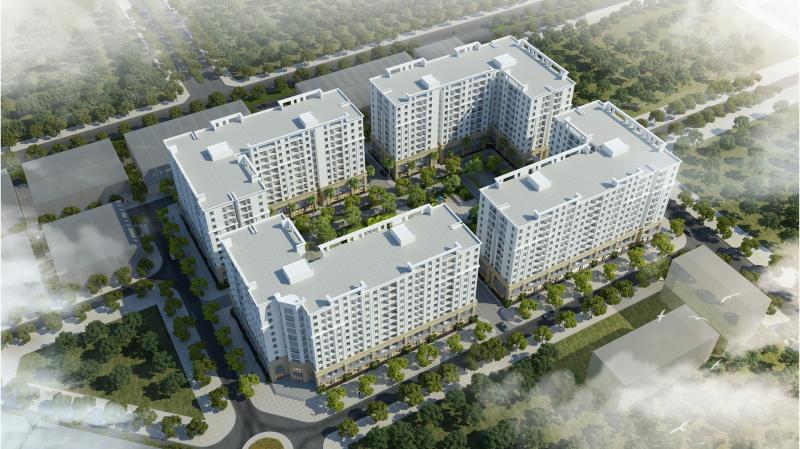 flc anh 1