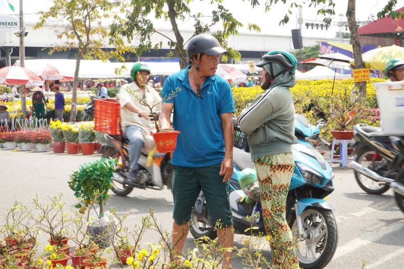 mai mini anh 1