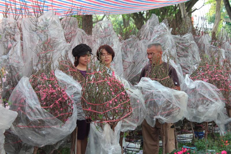 cho hoa anh 1