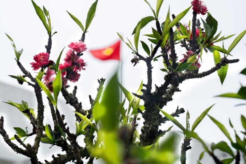 Dao That Thon anh 7