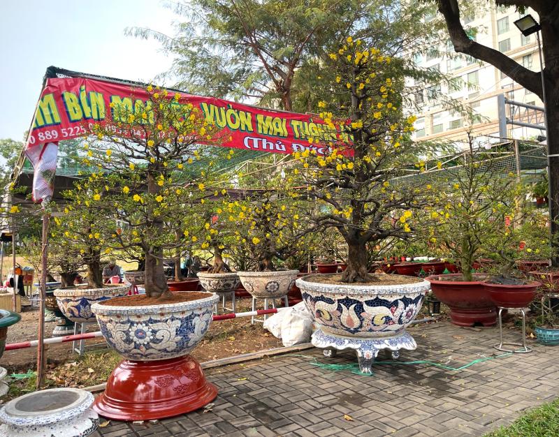 cho hoa anh 2