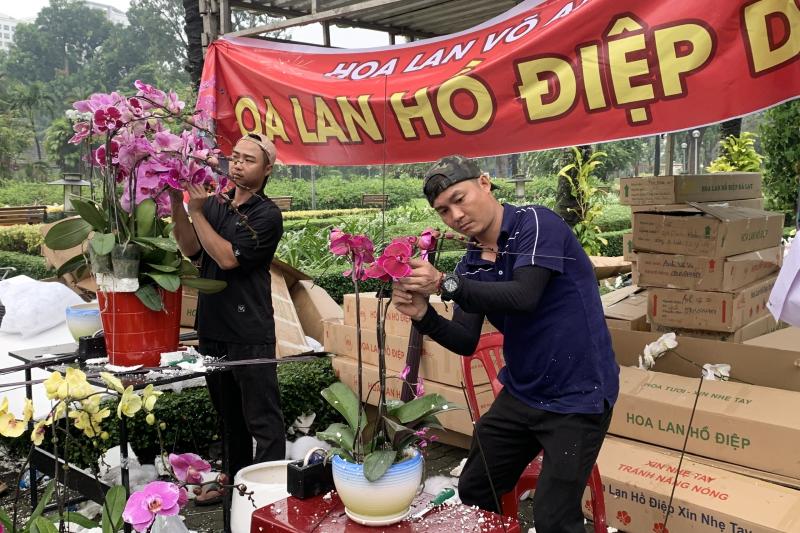 lan ho diep anh 1