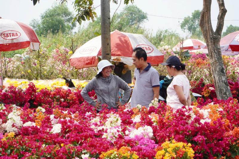 mai mini anh 7