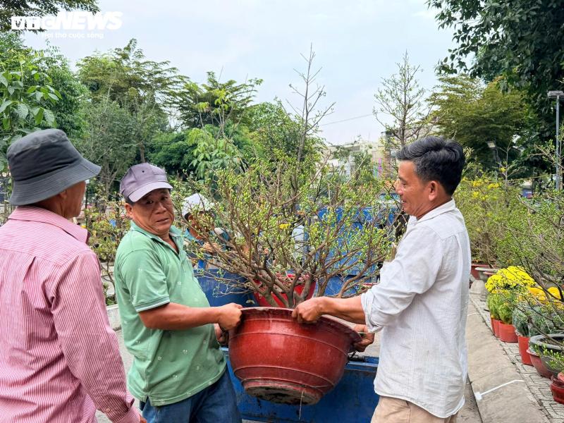 Tet anh 1