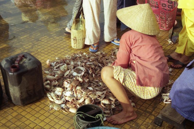 Viet Nam anh 12