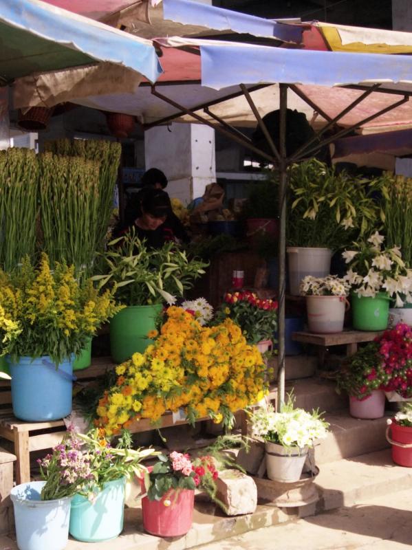 Viet Nam anh 10