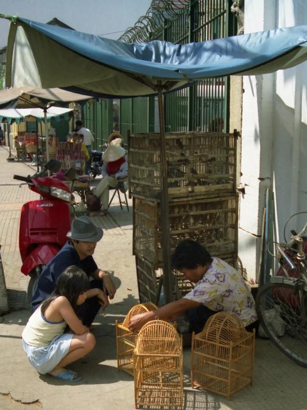 Viet Nam anh 4