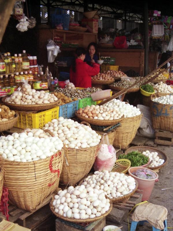 Viet Nam anh 3