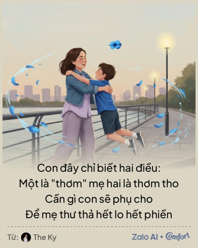 Comfort anh 5