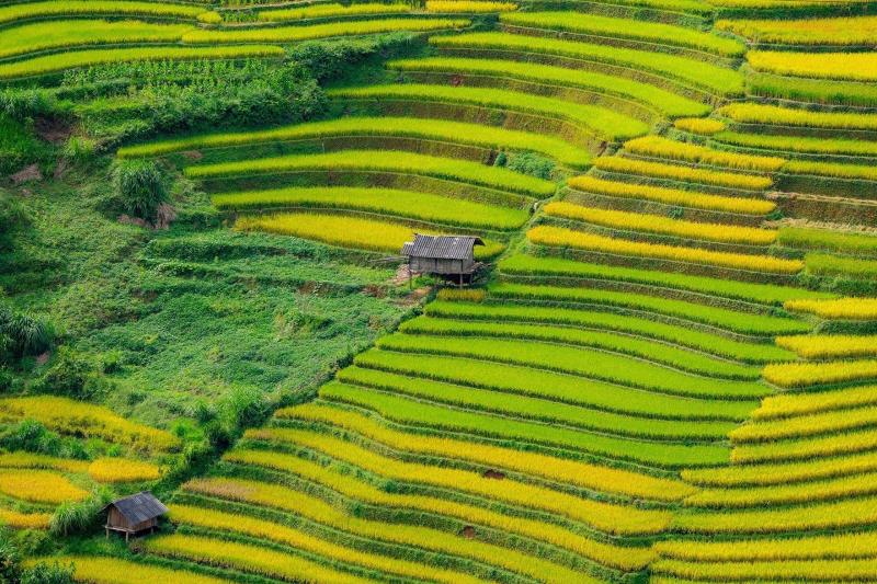 Sa Pa anh 2