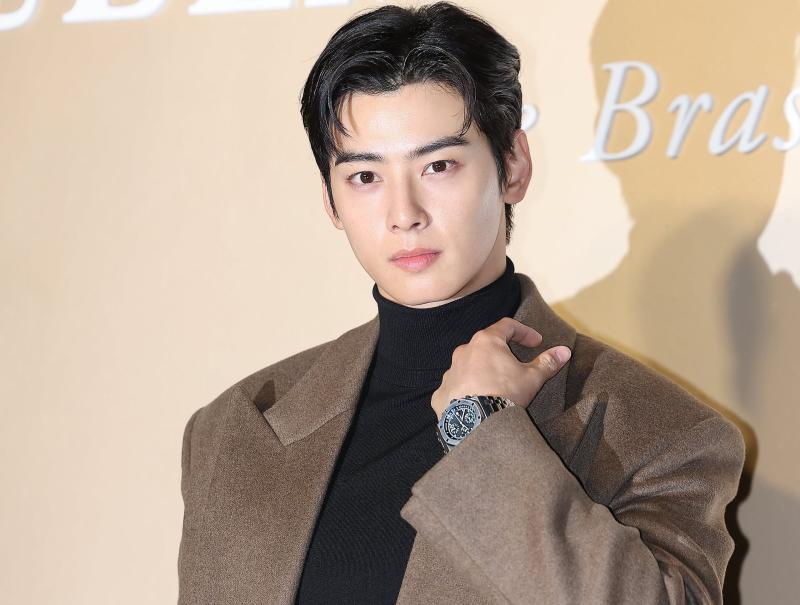 Cha Eun Woo anh 1