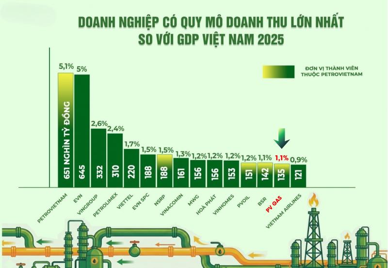 PV GAS anh 1