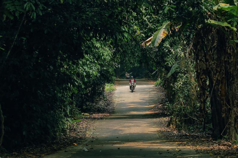 Cuc Phuong anh 2