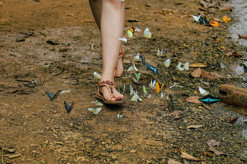 Cuc Phuong anh 4