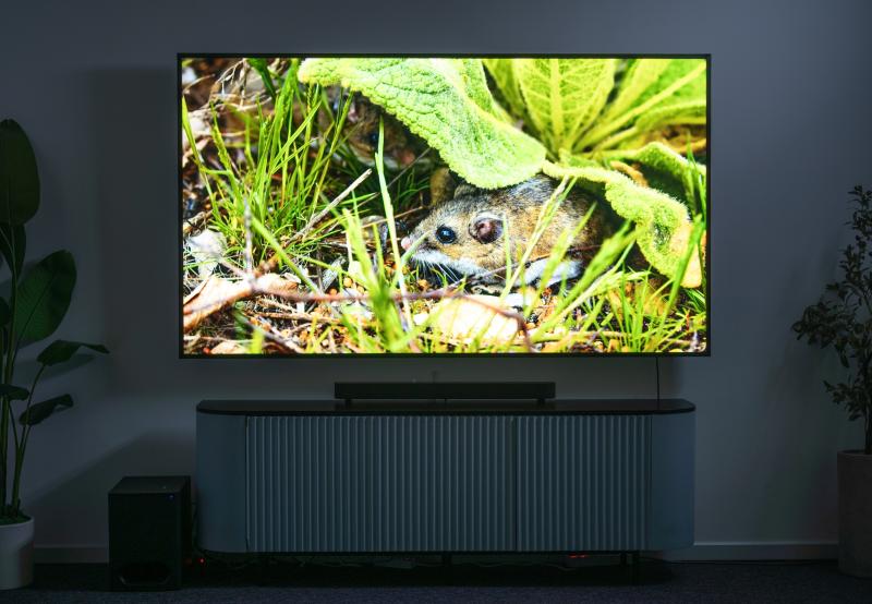 Sony Bravia 5 anh 3