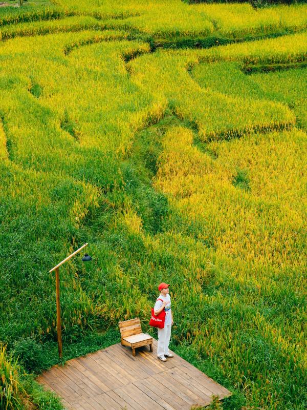 Viet Nam,  Sa Pa anh 2