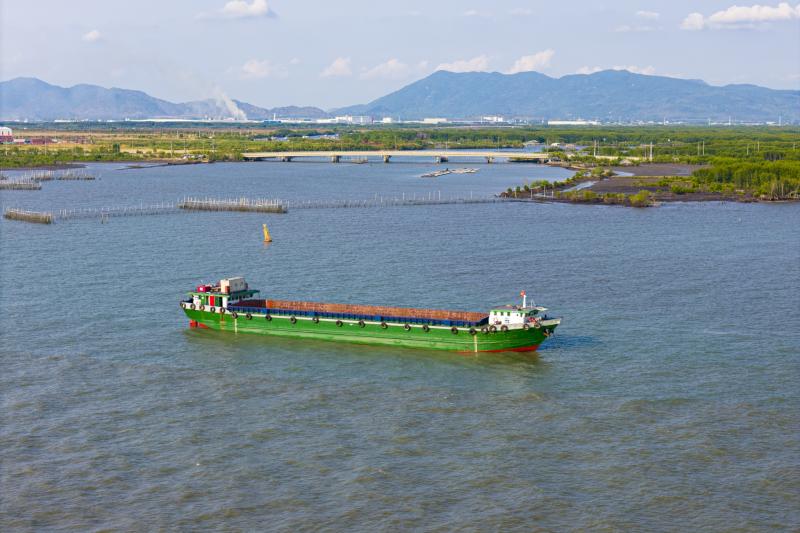 cang cai mep ha anh 9