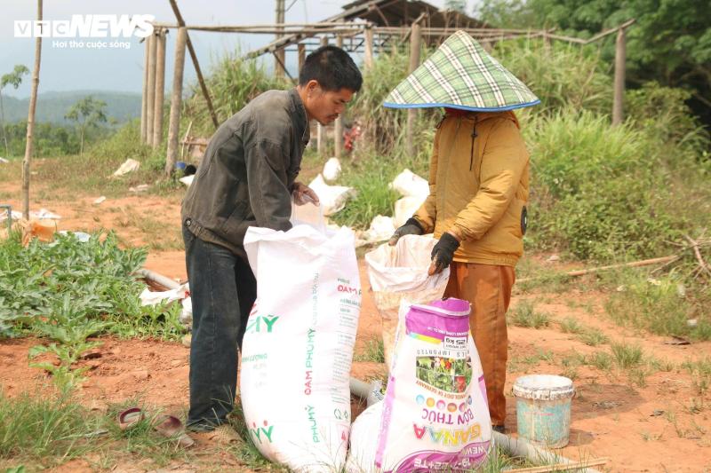 dua hau anh 3