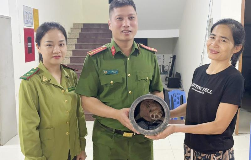 cu li anh 1