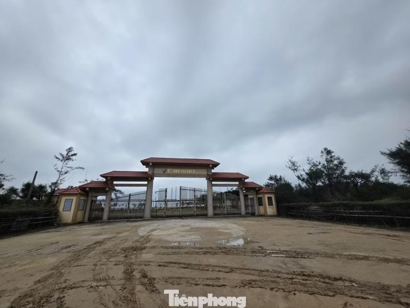 dat vang anh 3