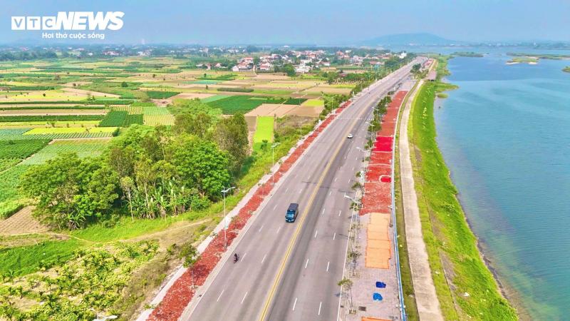 ot quang ngai anh 9