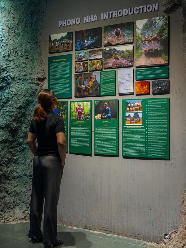 Phong Nha anh 4