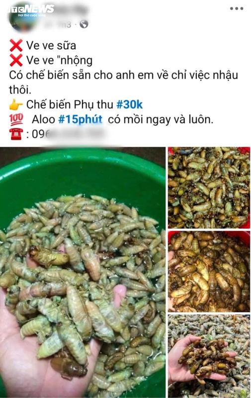 ve sau anh 4
