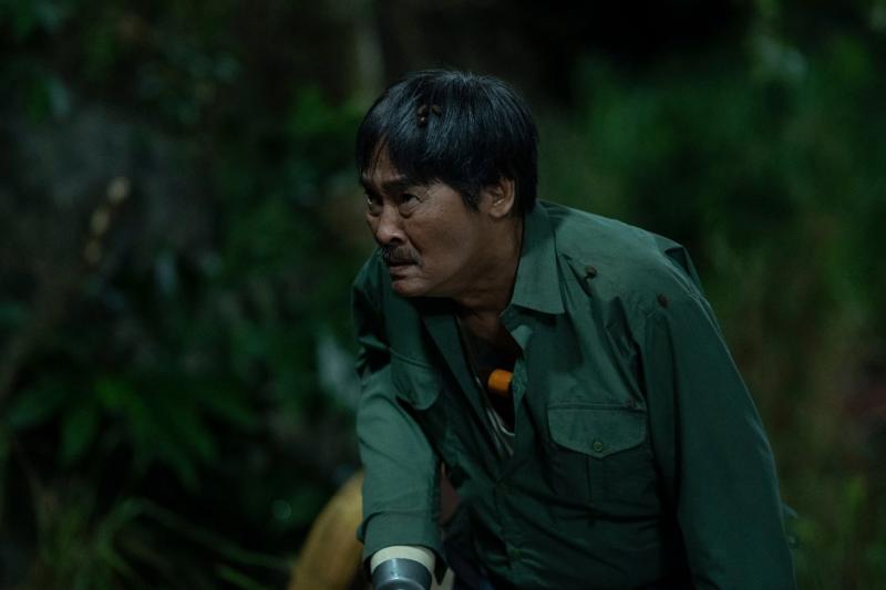 heo nam mong anh 5