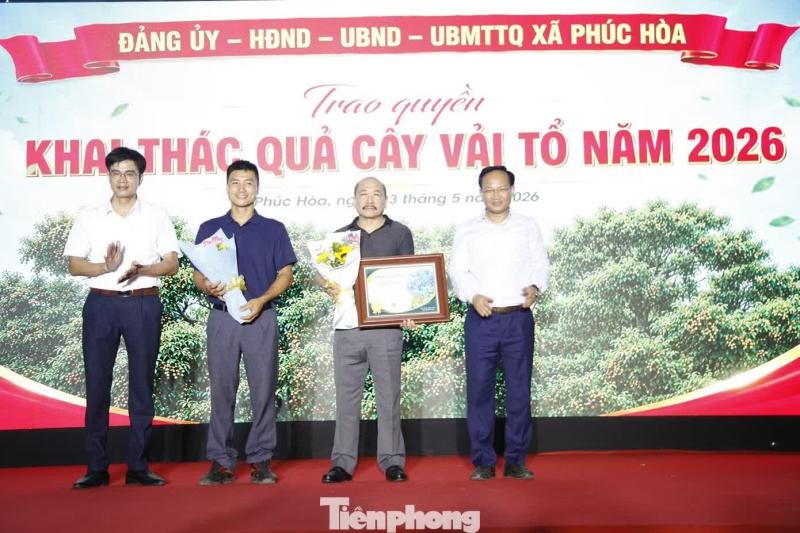 vai thieu anh 4