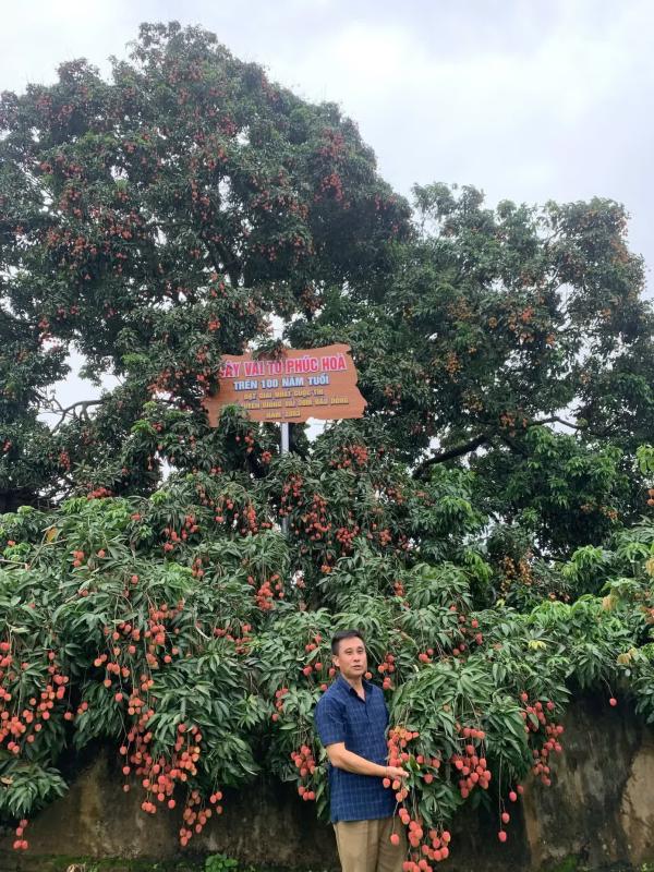 vai thieu anh 6