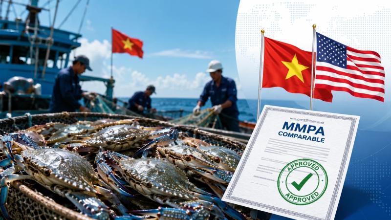 ghe Viet Nam anh 1