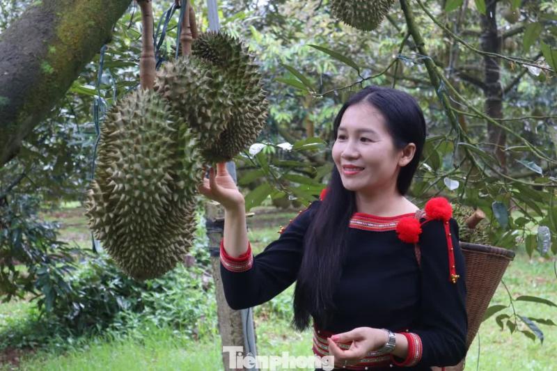 sau rieng anh 1